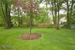 Nice size back yard with mature trees on the parameter of the property