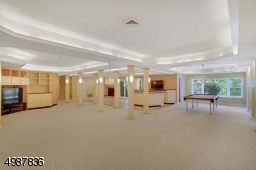 Lower Level Entertainment Area