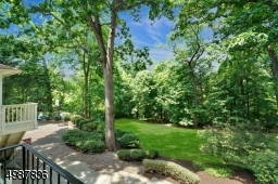Park Like Back Yard