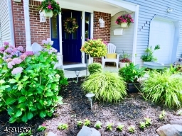 Amazing Landscaping