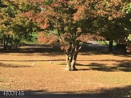 View across the street looking from your front porch.