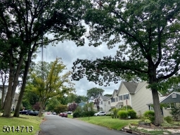 Beautiful Neighborhood