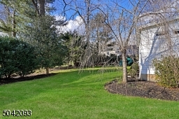Watch the lovely foliage bloom with Spring just 'round the corner!