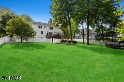 Fully Fenced level grassy yard space