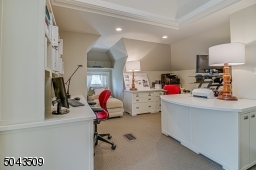 Custom Built-in Desks, Vaulted Ceiling with Skylight, Closets & Storage Area