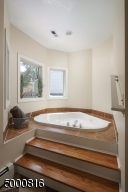 Jetted spa tub