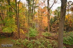 Low maintenance and lovely woods, with winter view of the Watchung mountains.