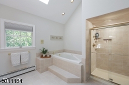Tub and glass shower in the master bath.