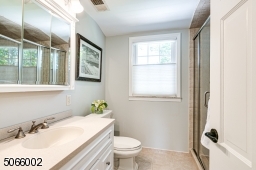 Large Vanity & Shower.