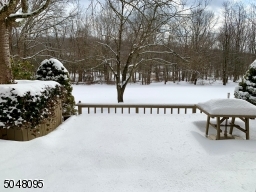 Deck from Family Room