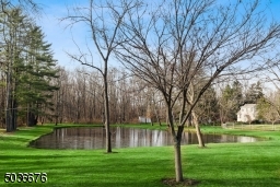 View of neighbor's pond. All of the beauty, none of the upkeep.