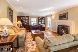 Wood burning fire place