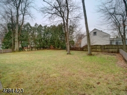 Spacious level backyard