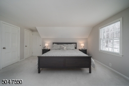 Master Bedroom with two closets