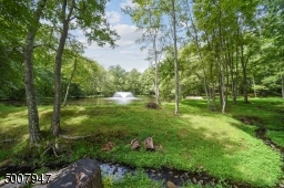 Pond with fountain on 4 acres of property.