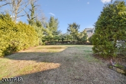 Grassy area with privacy plantings and landscaping.