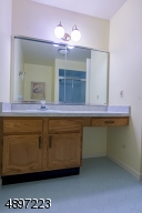 Spacious master bath.