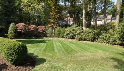 Professionally landscaped & new drainage system