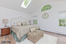 Skylight and eyebrow window