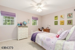Ceiling Fan, HW under carpeting