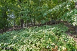 Contemporary Gem in Millburn with a 28 ft glass and steel addition and the South Mountain Reservation in your backyard!