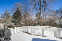 White vinyl railings