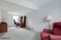 Super recreation /media room.