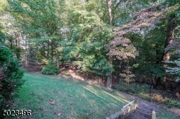 The yard continues into the wooded area.