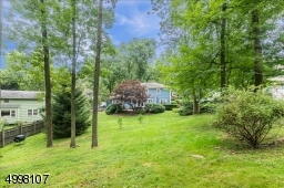 Large Backyard