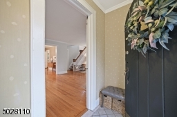Original Batten front door with window