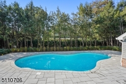 Gunite Salt Water Pool