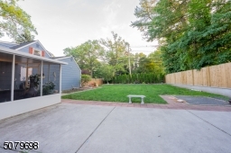 backyard 2