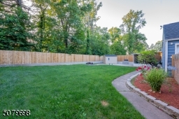 backyard 1