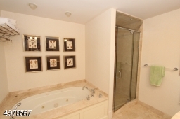 The rest of the spa features a large tiled STEAM shower and deep soaking tub.  As seen in NJ Design magazine.