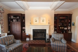 Statement fireplace flanked by built in bookcases and highlighted by spotlights