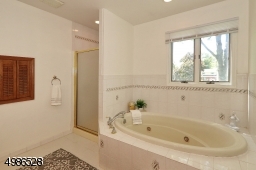 Jetted Tub with separate stall shower