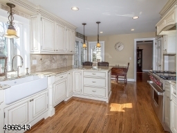 Granite counters, Wolf range, Bosch dishwasher and garden window