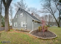 Side Yard w/Professional Landscaping