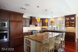 Gourmet Kitchen with top appliances and large center island with beverage cooler.